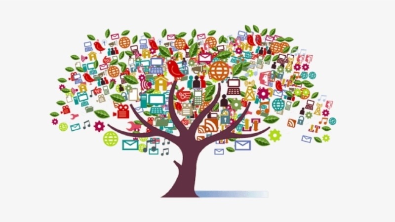 Social Media Stuff EmbedTree